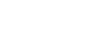 Branded Bridge Line Logo Transparent